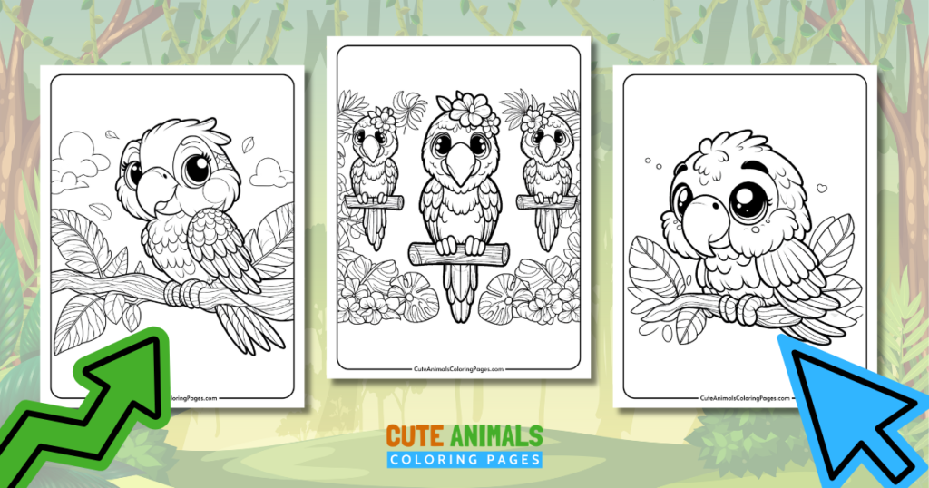 cute macaw coloring pages