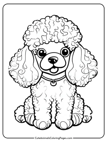 sweet poodle standing