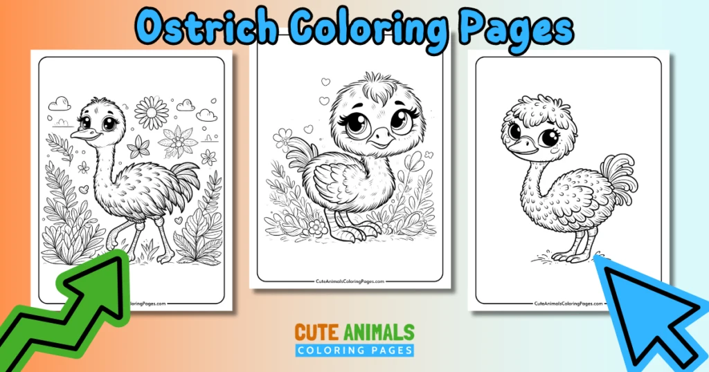 Ostrich coloring pages for kids featuring three cute ostrich illustrations to print and color.