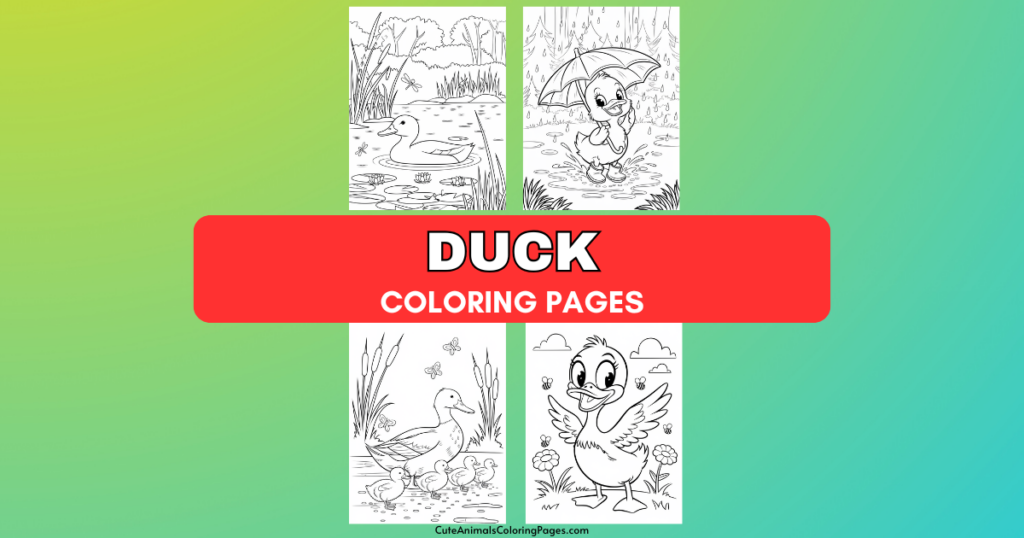 Duck coloring pages.